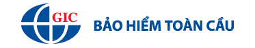 Công ty CP Bảo Hiểm Toàn Cầu